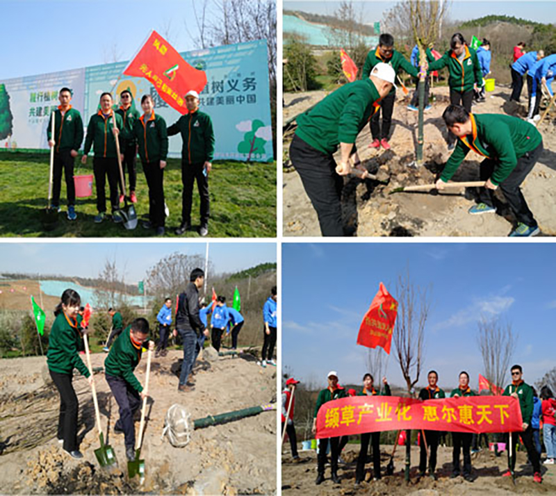 312惠爾員工都在做什么？